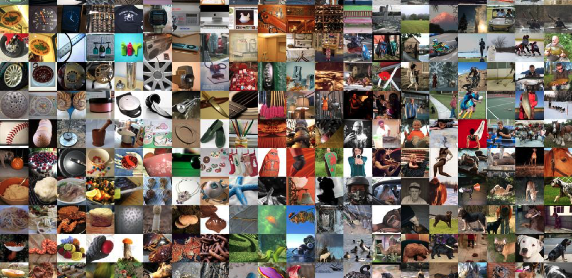 A sample of ImageNet images, organized by their embeddings